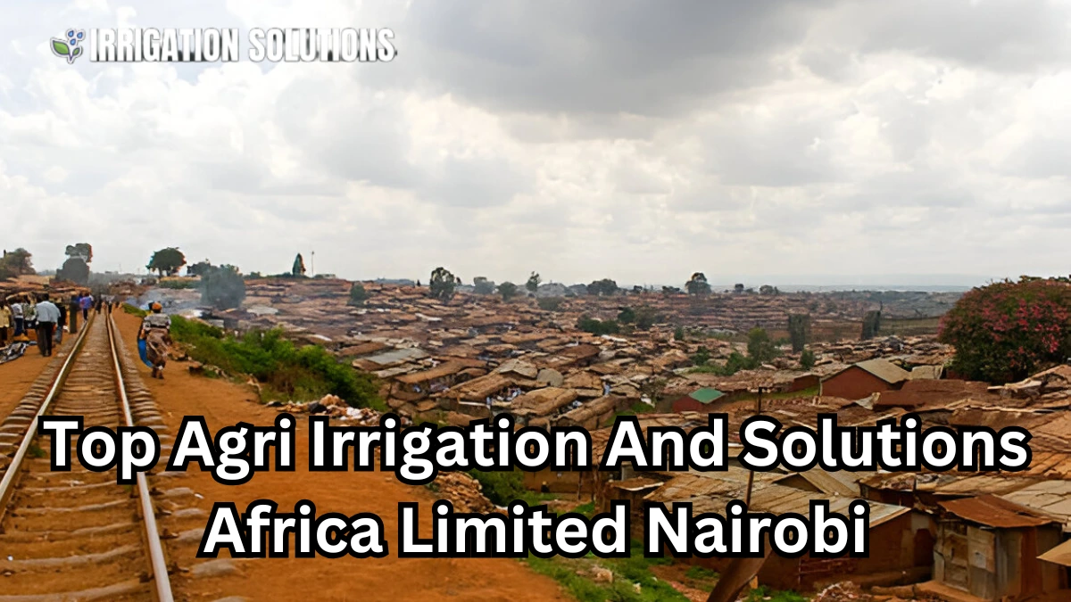 agri irrigation and solutions africa limited nairobi
