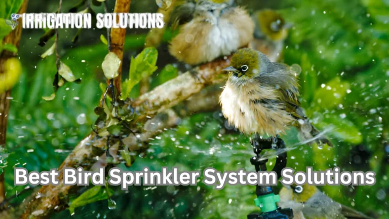 bird sprinkler system