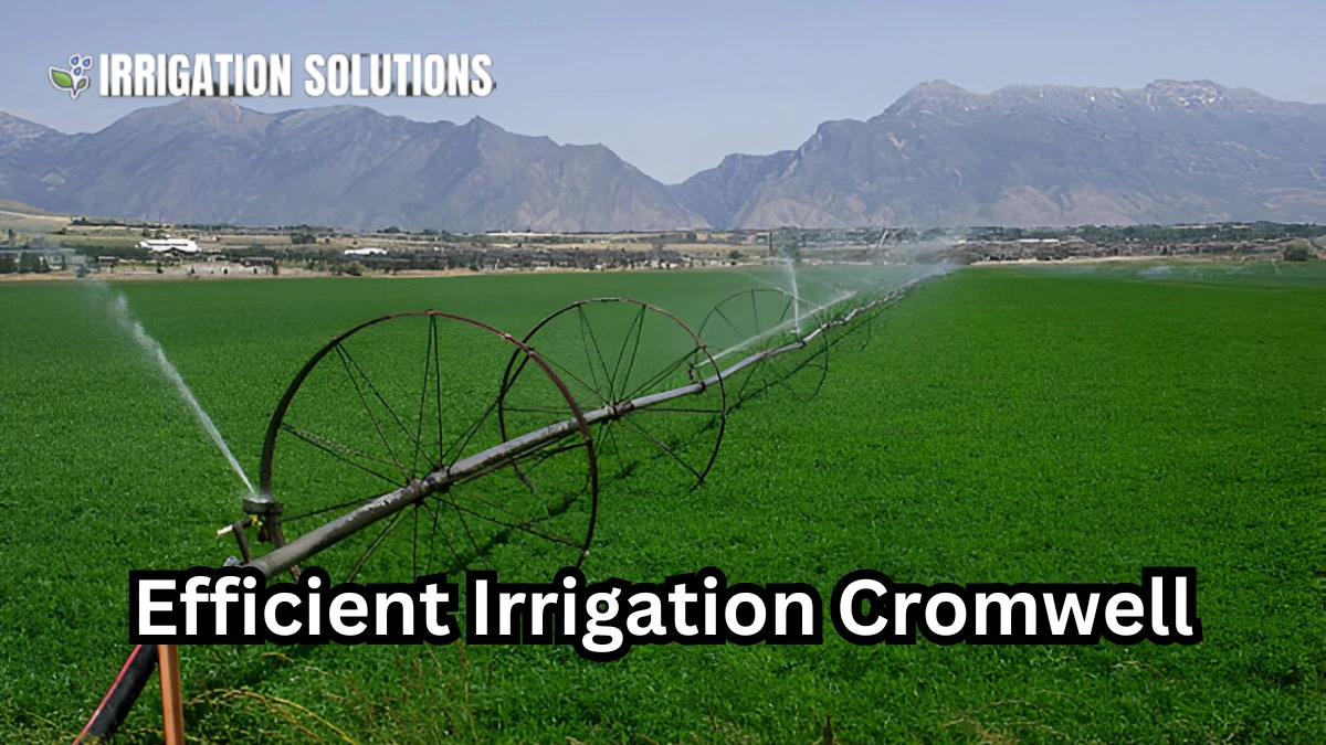irrigation services cromwell