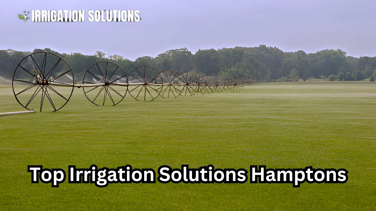 irrigation solutions hamptons