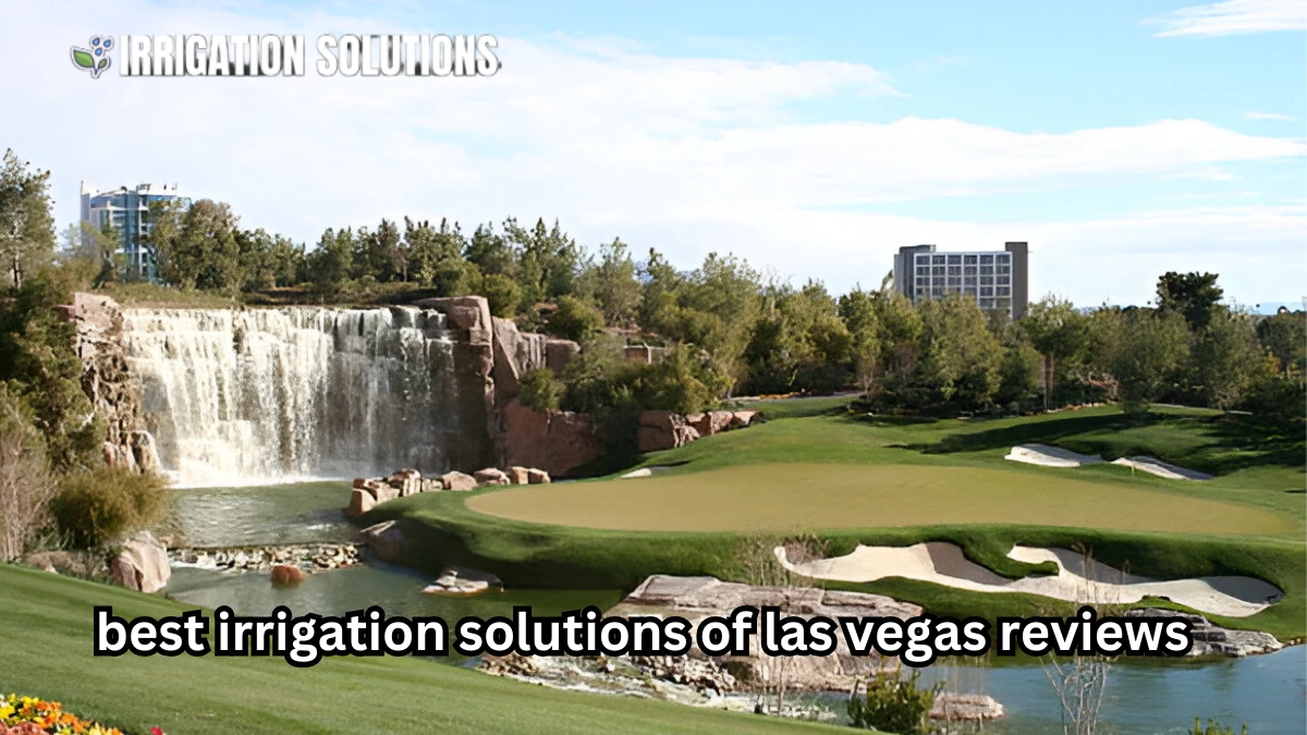 irrigation solutions of las vegas reviews