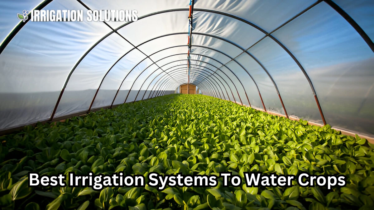irrigation systems to water crops