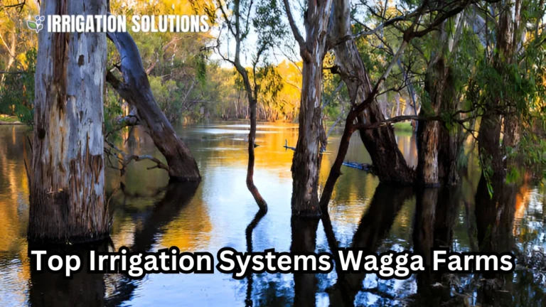 irrigation systems wagga