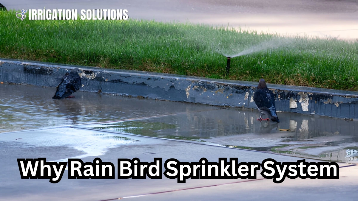rain bird sprinkler system