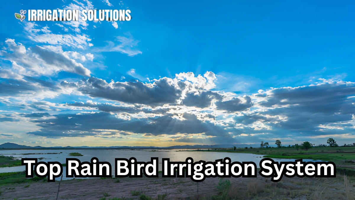 rain bird irrigation system